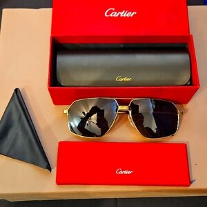 Cartier Sunglasses CT0270S / 001